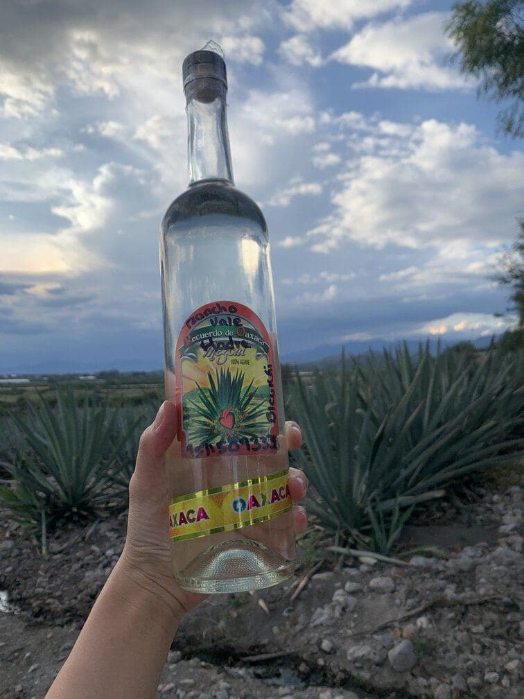 Mezcal with agave