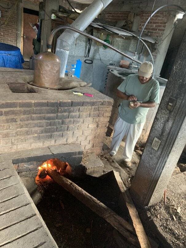 A mezcal distillery
