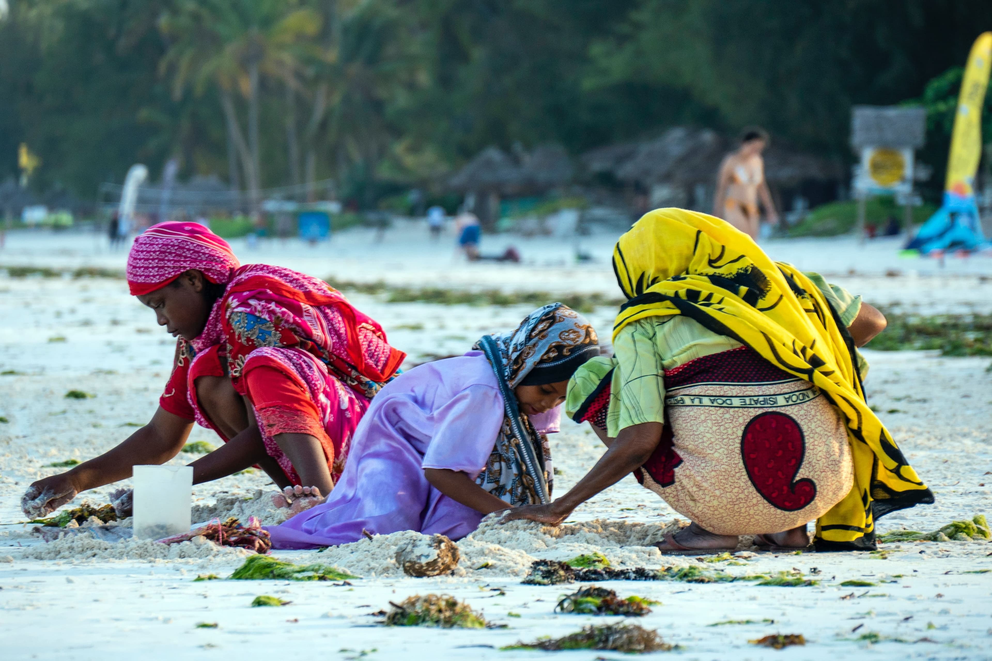 Salt Air & Spice Trails: Four Days in Zanzibar gallery image 3