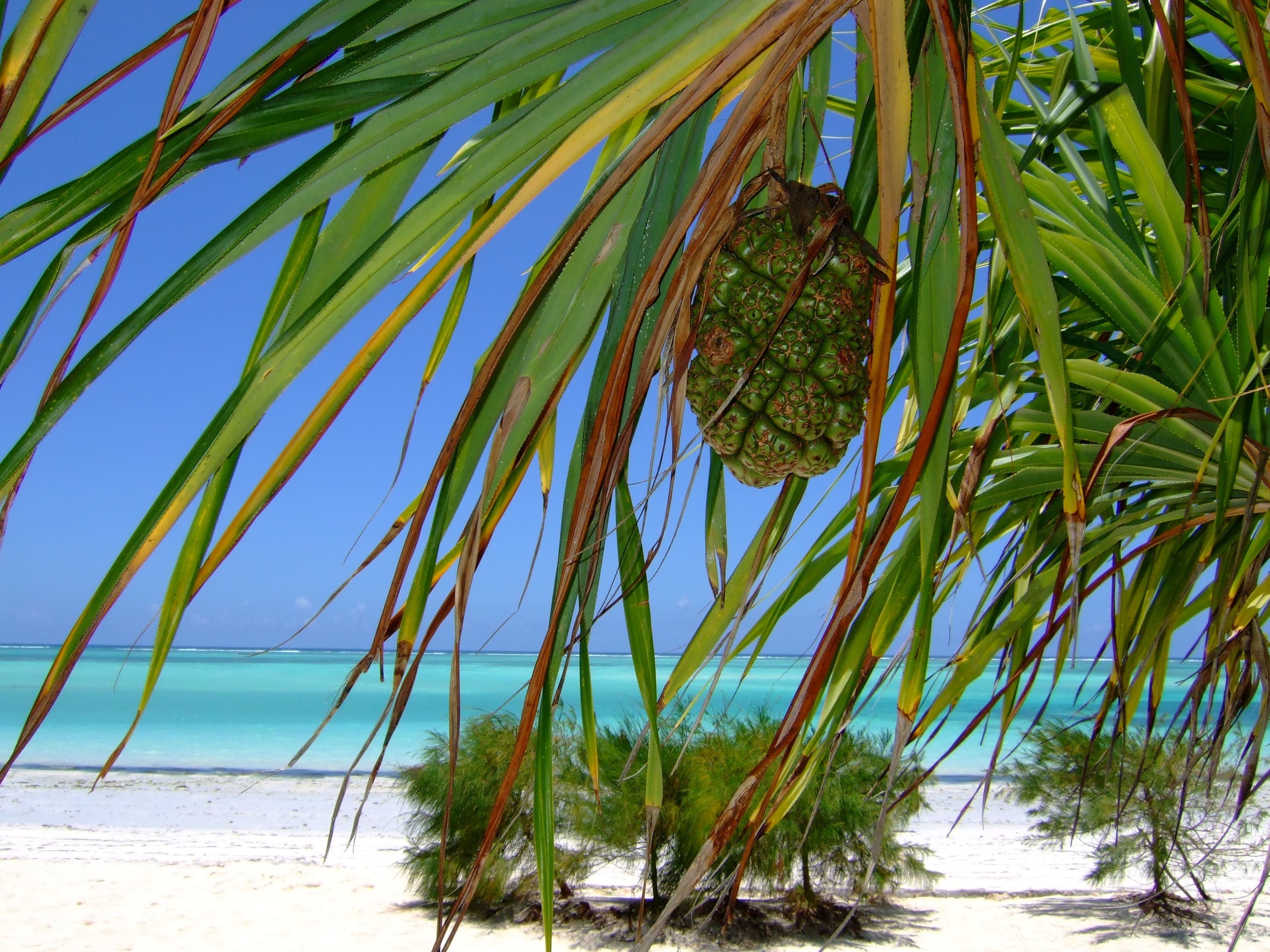 Salt Air & Spice Trails: Four Days in Zanzibar gallery image 5