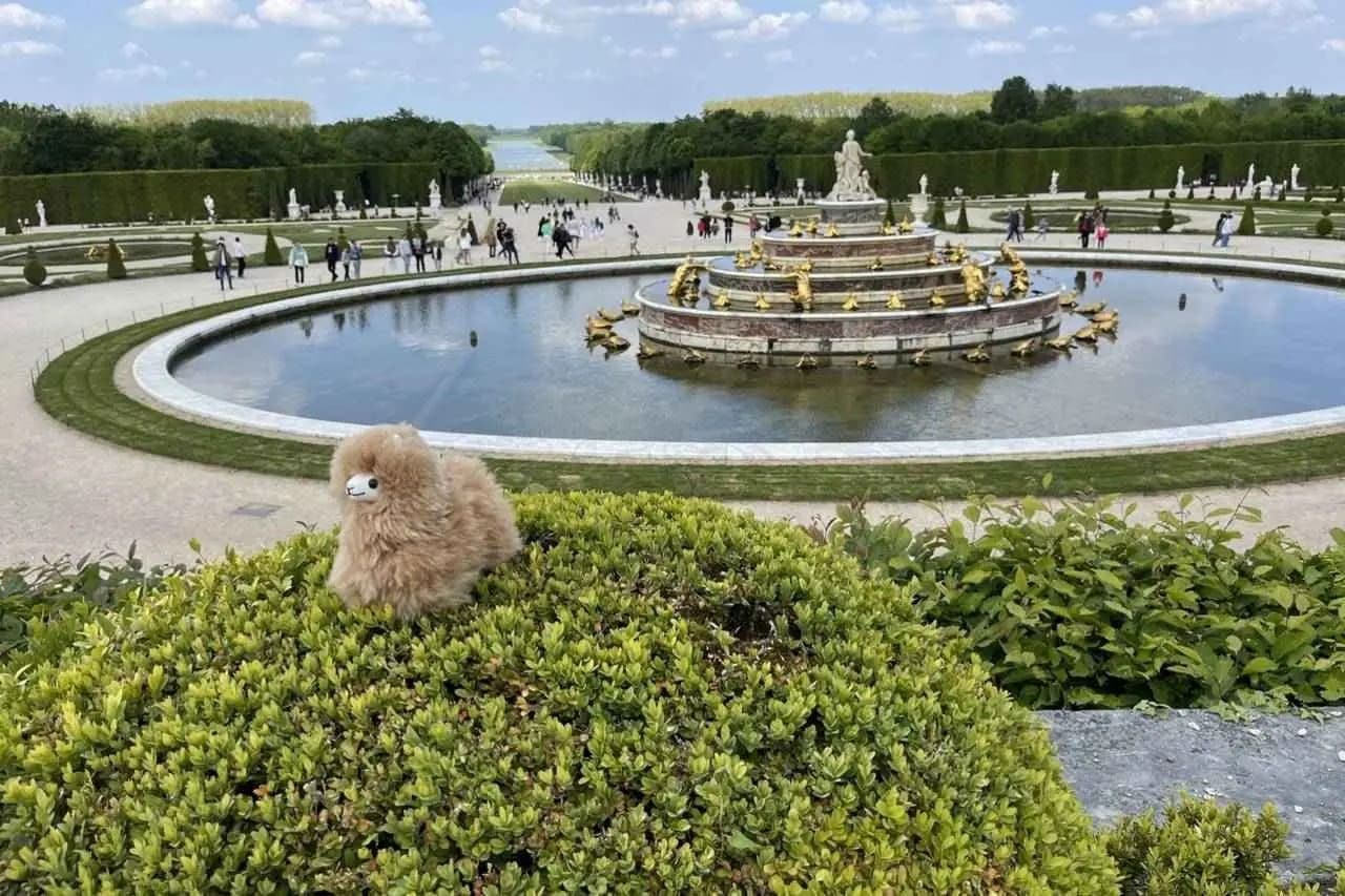 Royal Splendor at Versailles gallery image 4