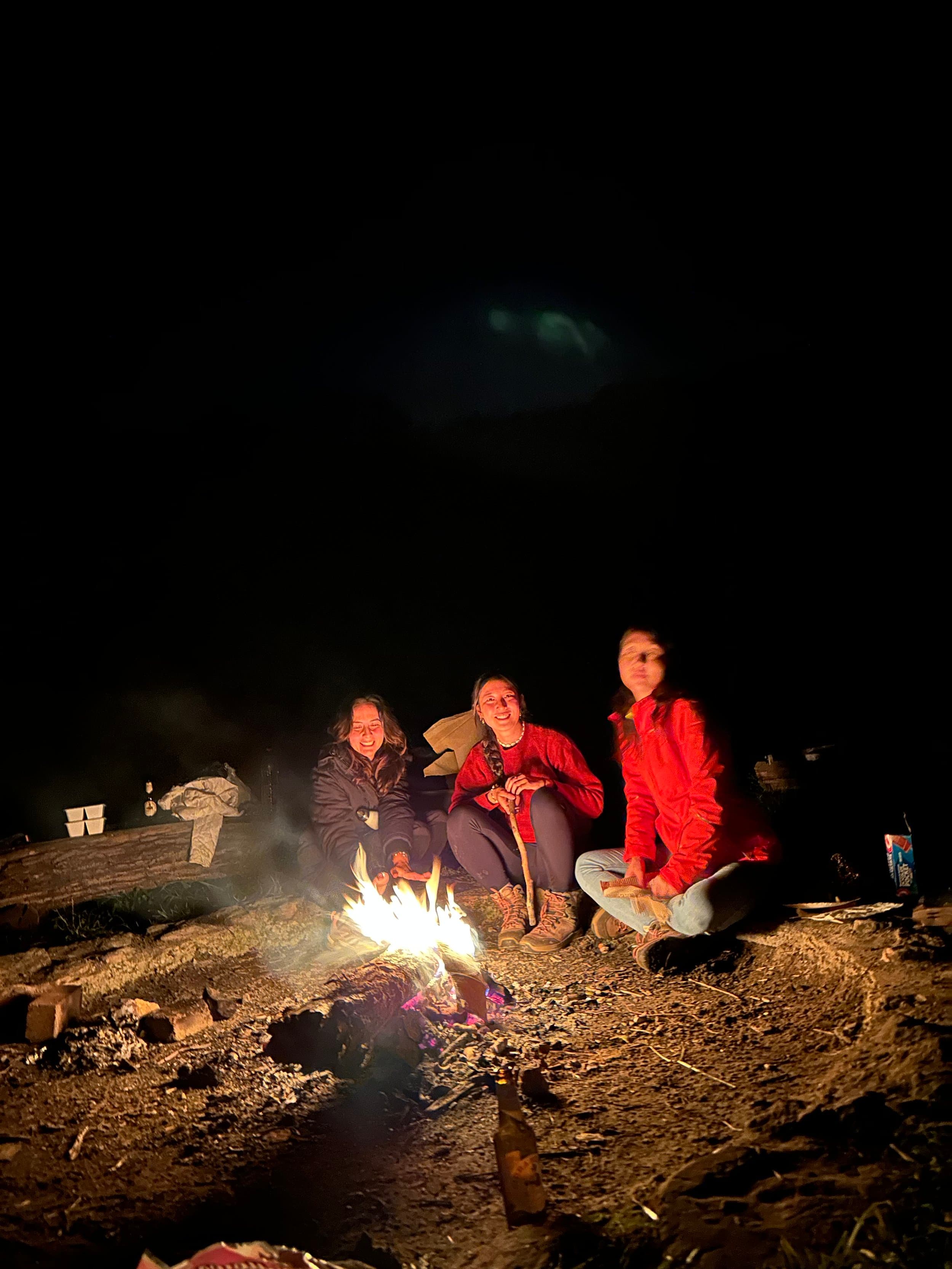 Forest campground in Luxembourg