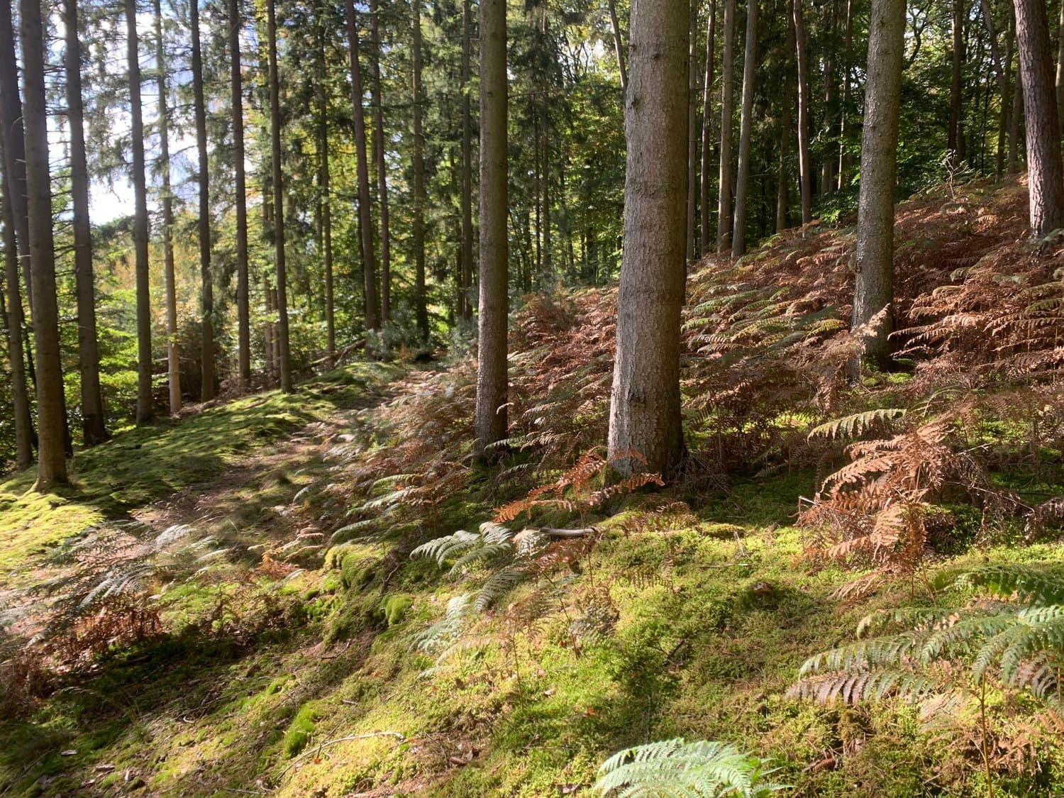 Weekend Camping Near Paris: Two Nature Escapes You'll Love