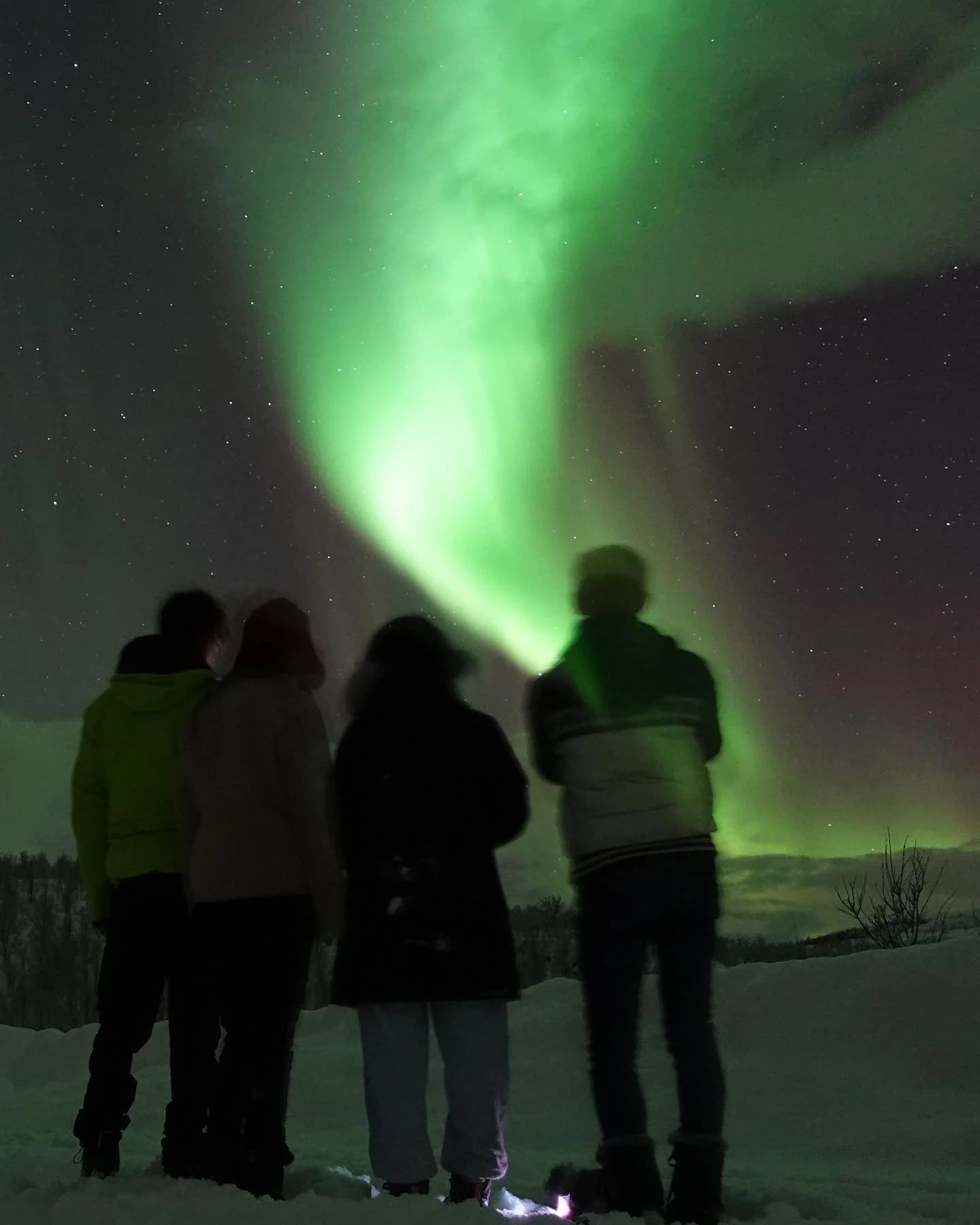Aurora hunters watching the sky beside their campervan