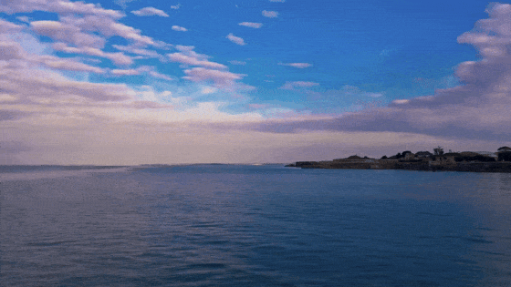Île-de-Ré: A Weekend by the Sea, Made for Friends and Freedom