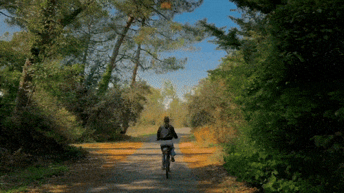 Animated bike tour route around Île-de-Ré