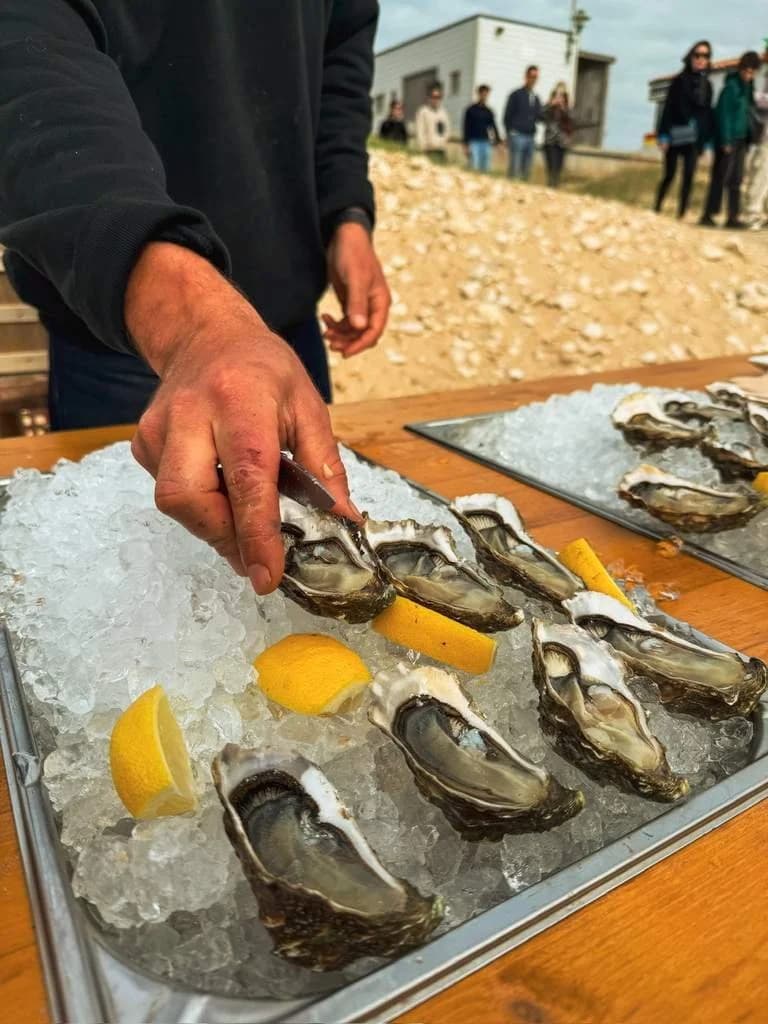 Oyster tasting by the sea on Île-de-Ré
