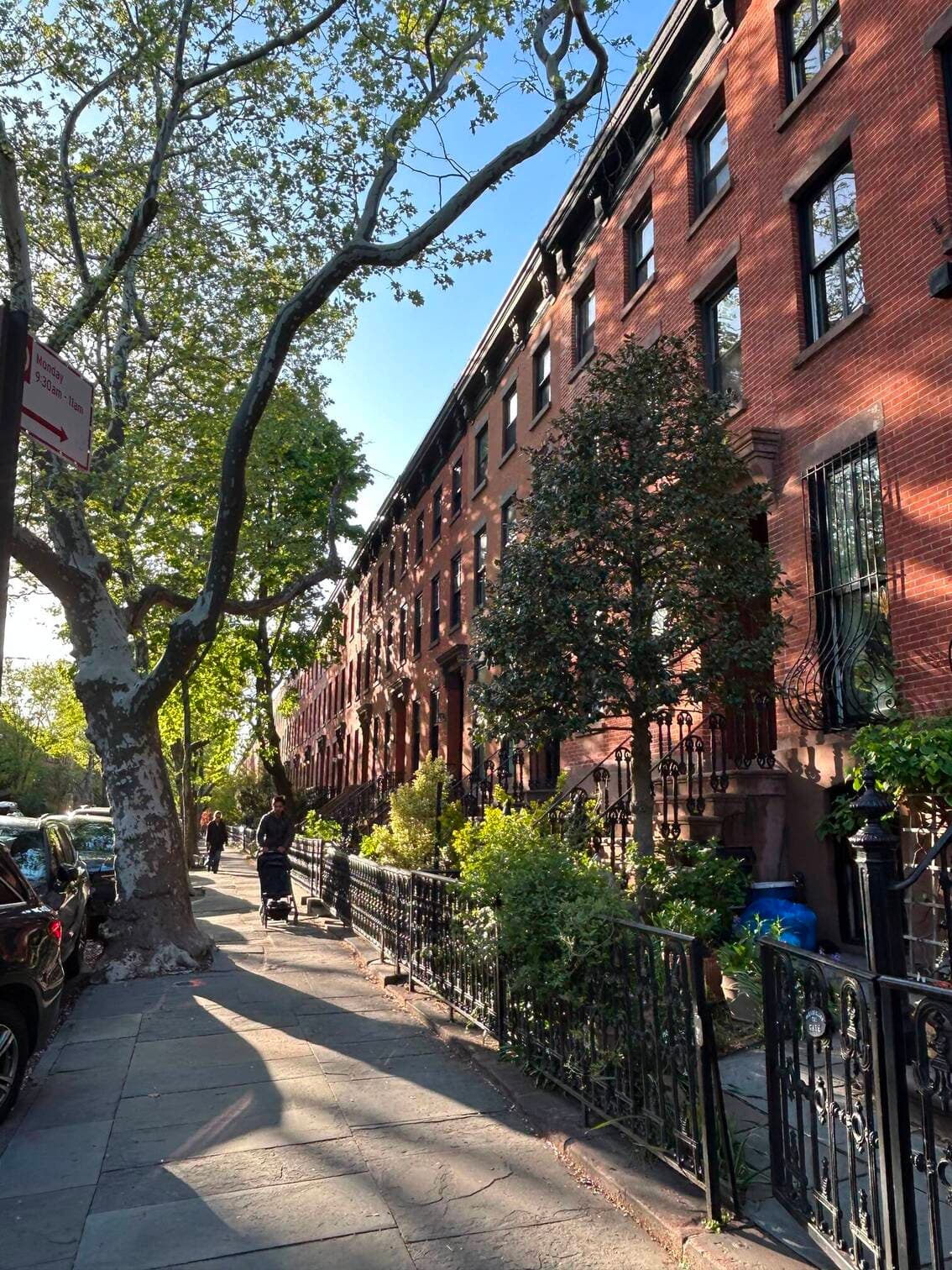 Tree-lined Brooklyn brownstones