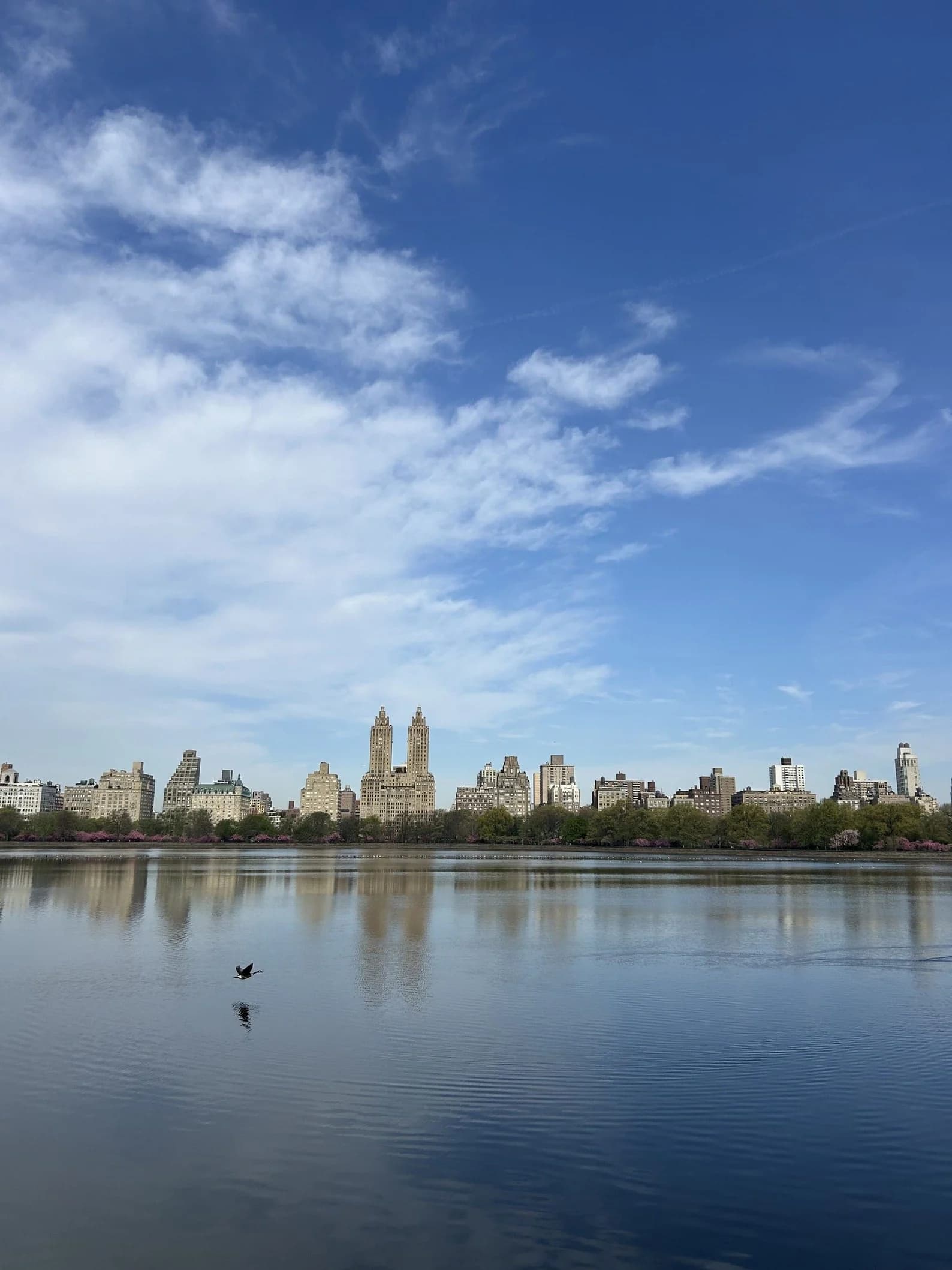 The Manhattan skyline from the Brooklyn waterfront