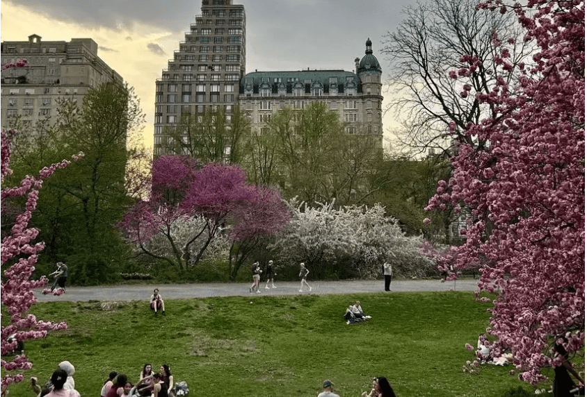 New York, Slowly: The Creative Side of the City That Never Sleeps