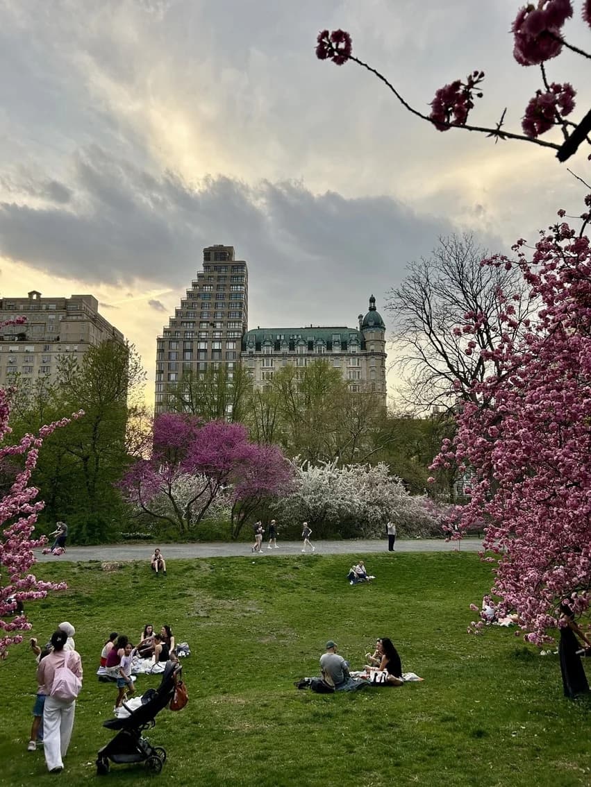 A quiet morning in Central Park