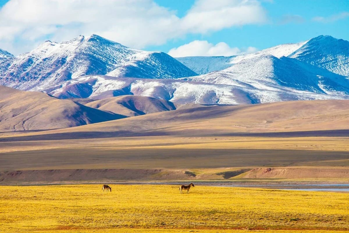 Kekexili Nature Reserve, or Hol Xil