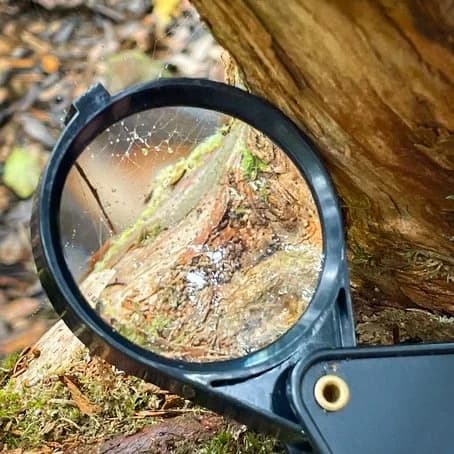 Hiking essentials for Tenerife's jungle trails