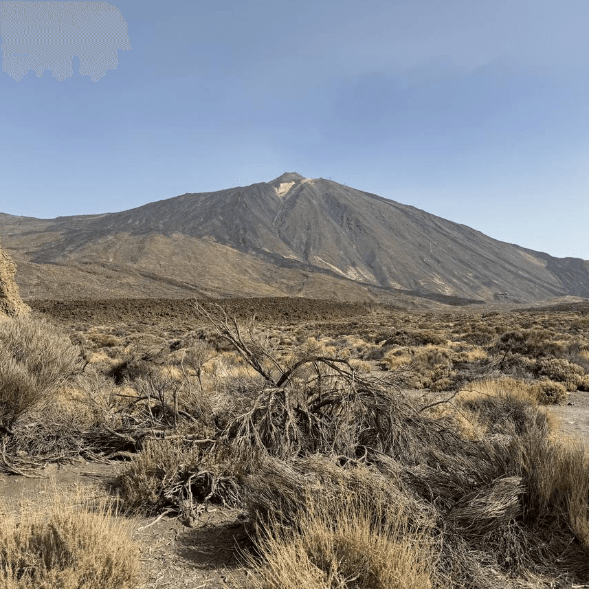 Mount Teide viewed from a wide volcanic plain