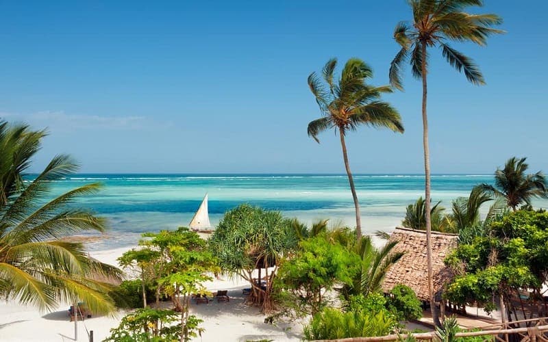 Salt Air & Spice Trails: Four Days in Zanzibar