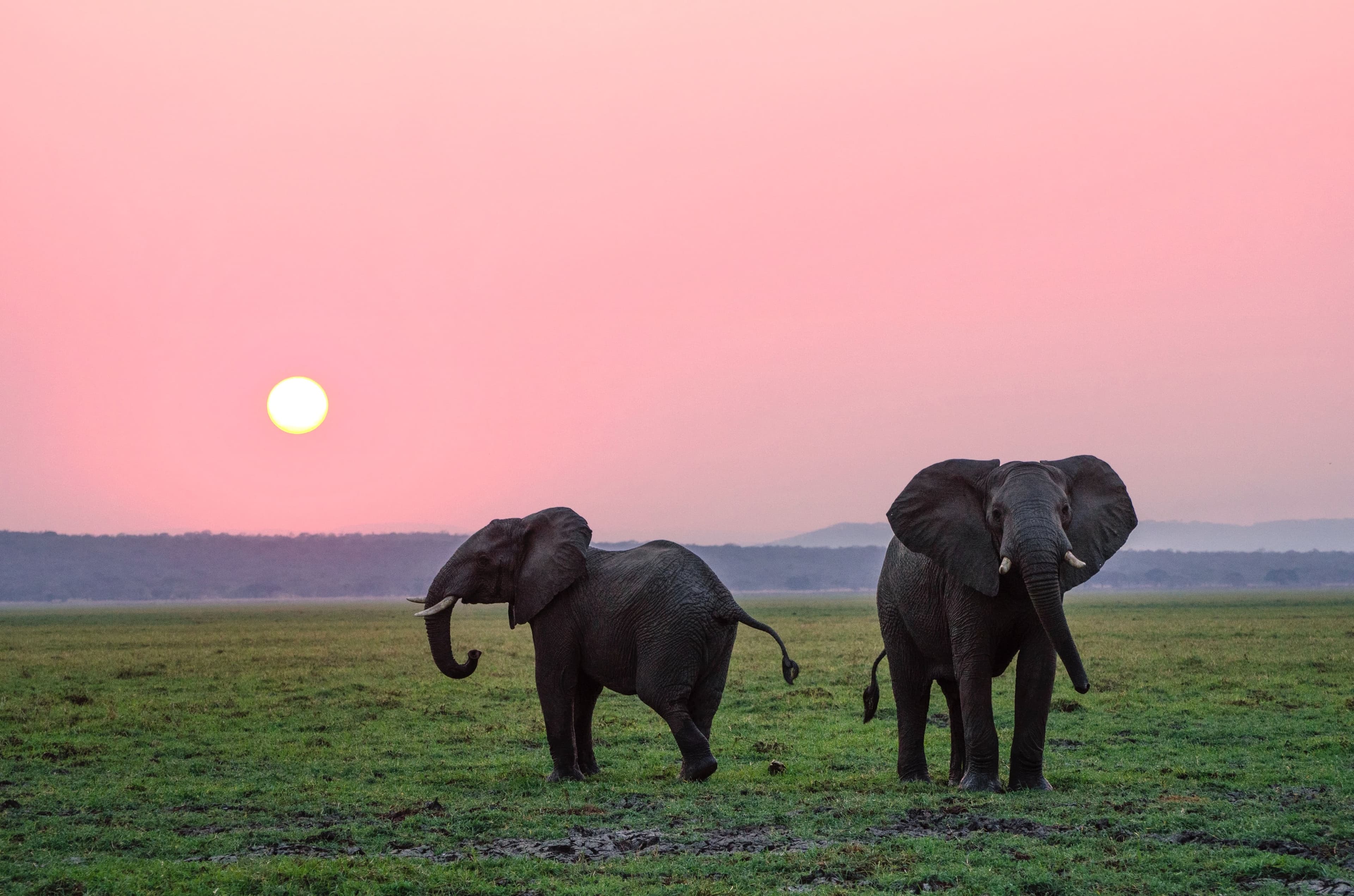 Northern Tanzania: Wildlife & Culture Journey gallery image 3