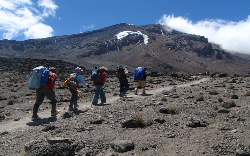 6-Day Kilimanjaro Trek via the Lemosho Route gallery image 4