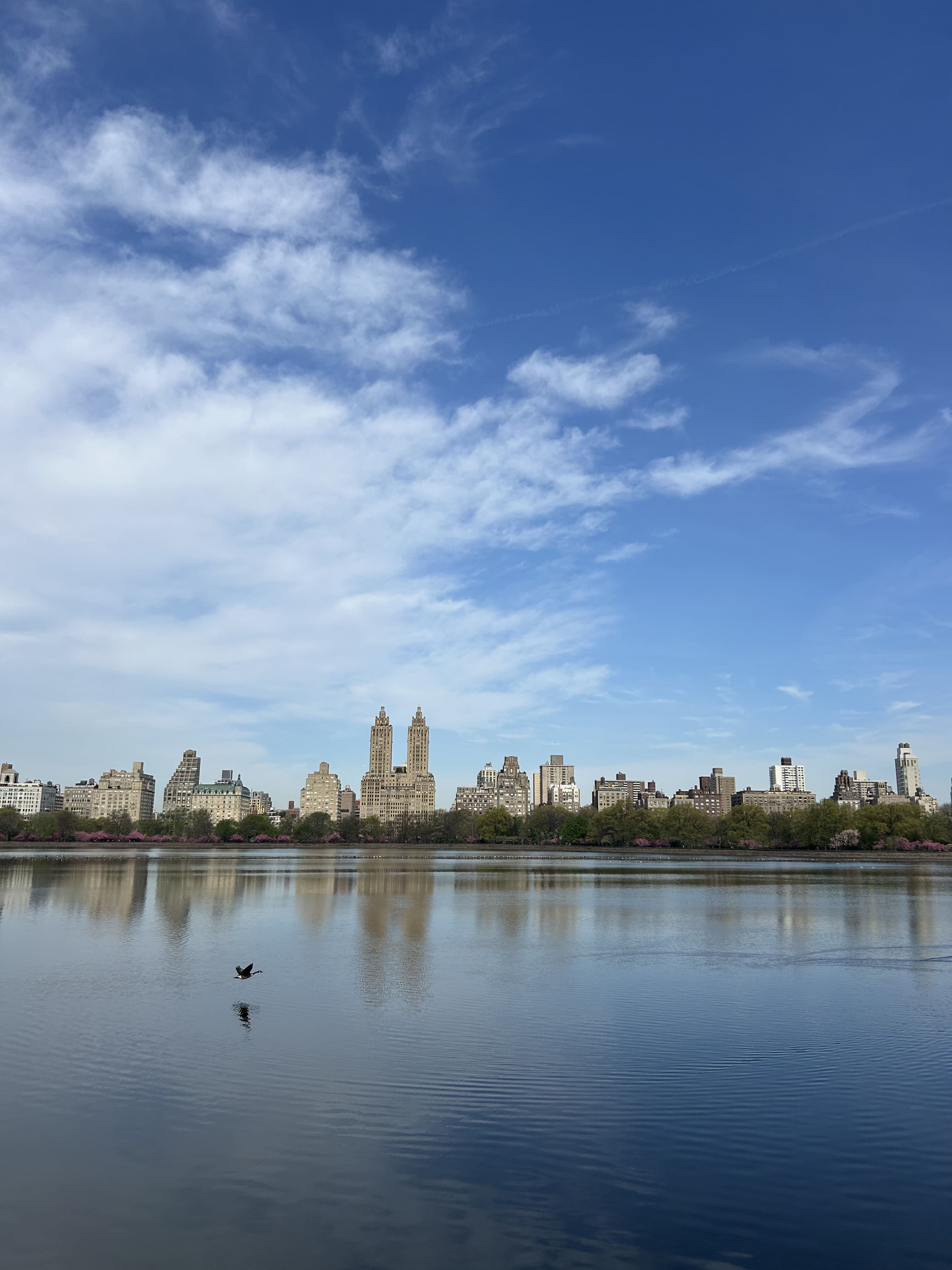 A Slower Guide to New York
gallery image 3
