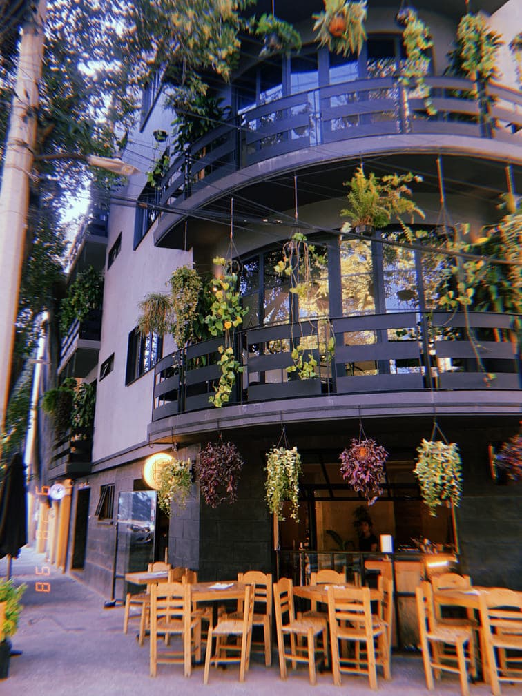 Feeling the True Mexico City for a First-Timer gallery image 1