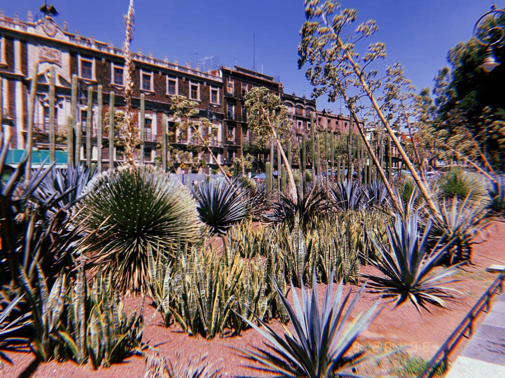 Feeling the True Mexico City for a First-Timer gallery image 2