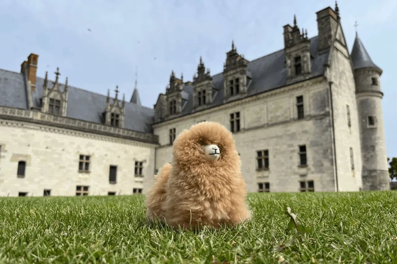 Loire Castles Day Trip & Wine Tasting
gallery image 5