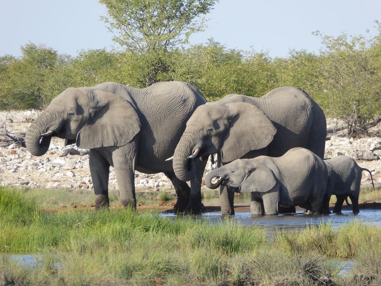 Namibia Essentials: Safari, Culture & Natural Wonders gallery image 3