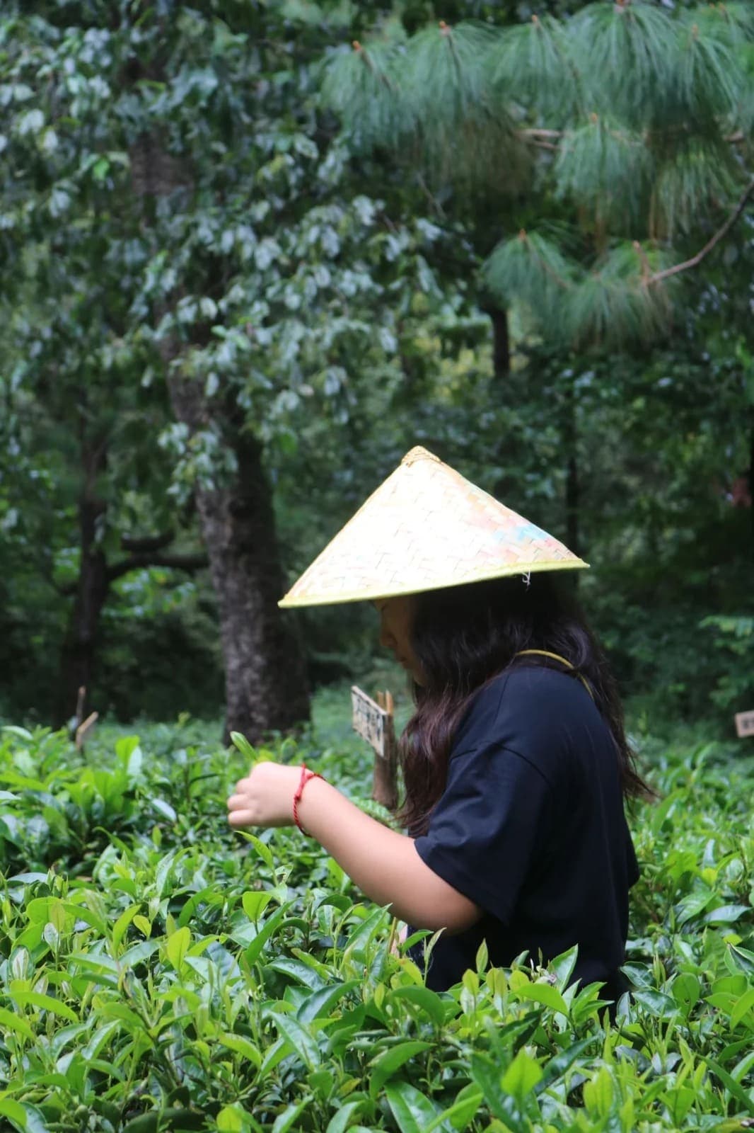 Roots of Yunnan: Handicraft Traditions and Cultural Encounters gallery image 2