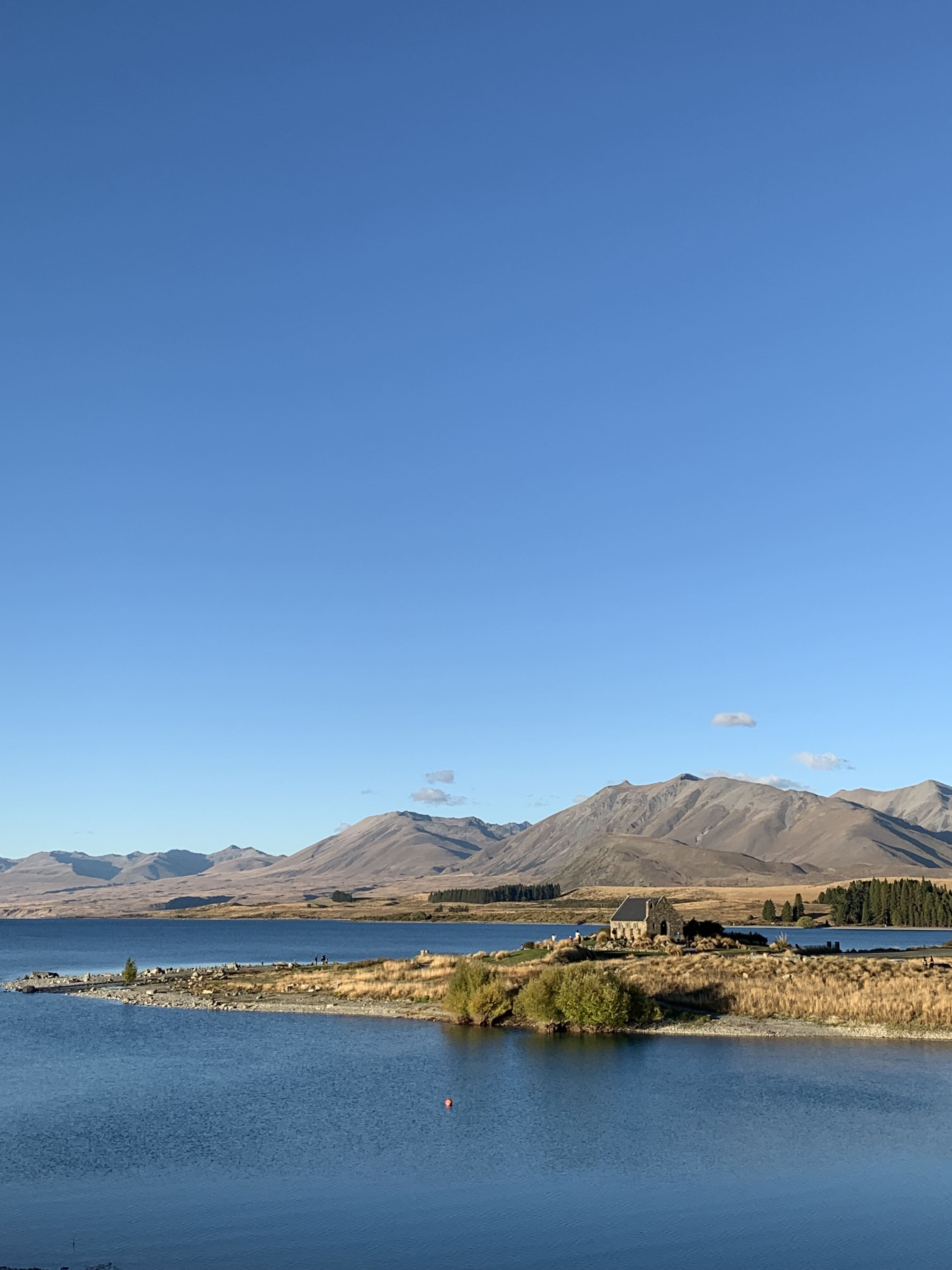 Van Trip Through New Zealand’s Wild South gallery image 1