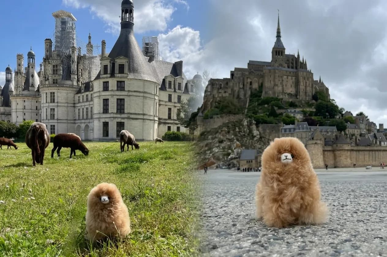 Two-day Mont Saint-Michel, D-Day & Loire Valley private tour gallery image 1